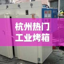 杭州熱門(mén)工業(yè)烤箱，杭州烤箱批發(fā) 