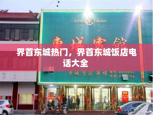 界首東城熱門(mén)，界首東城飯店電話大全 
