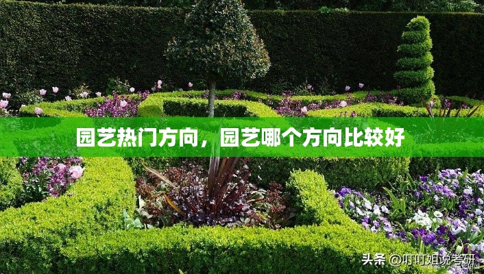 園藝熱門方向，園藝哪個方向比較好 