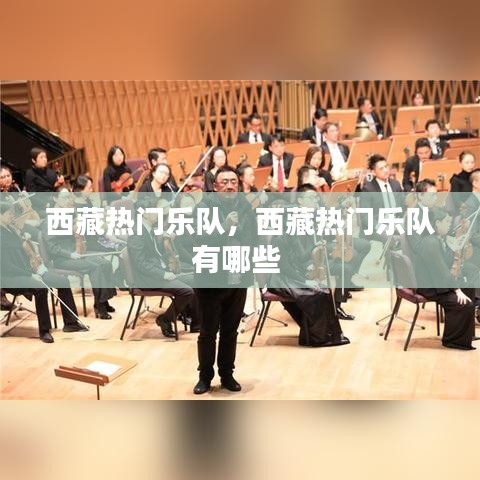西藏?zé)衢T樂隊(duì)，西藏?zé)衢T樂隊(duì)有哪些 