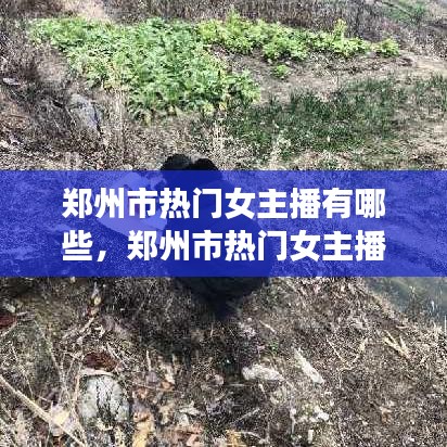 鄭州市熱門(mén)女主播有哪些，鄭州市熱門(mén)女主播有哪些名單 