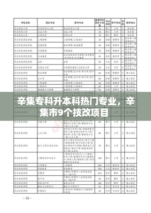 辛集?？粕究茻衢T專業(yè)，辛集市9個技改項目 