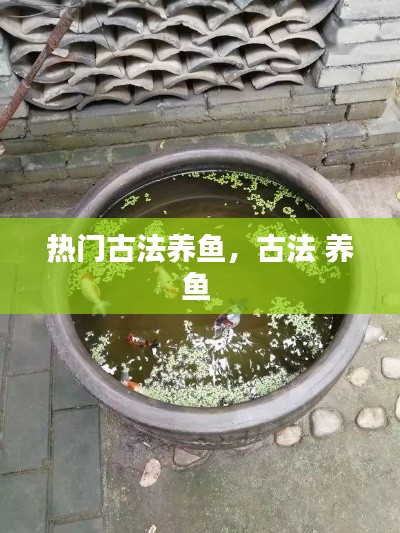 熱門古法養(yǎng)魚，古法 養(yǎng)魚 
