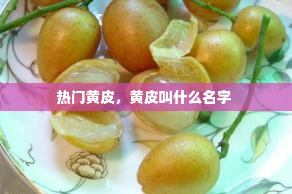 熱門黃皮，黃皮叫什么名字 