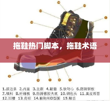 拖鞋熱門腳本，拖鞋術語 
