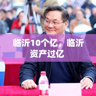 臨沂10個億，臨沂資產(chǎn)過億 