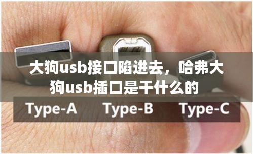 大狗usb接口陷進(jìn)去，哈弗大狗usb插口是干什么的 