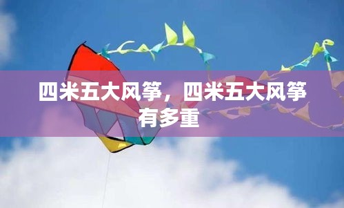 四米五大風(fēng)箏，四米五大風(fēng)箏有多重 