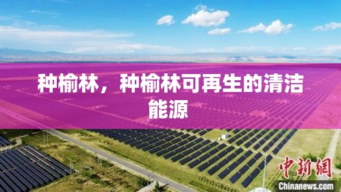 種榆林，種榆林可再生的清潔能源 