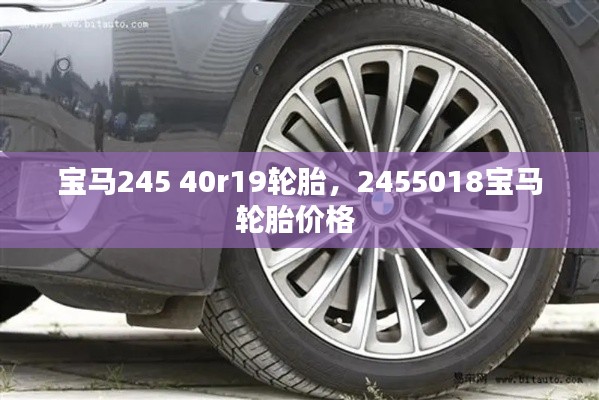 寶馬245 40r19輪胎，2455018寶馬輪胎價格 