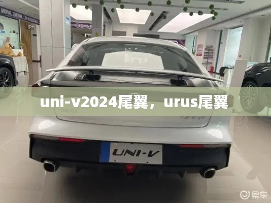 uni-v2024尾翼，urus尾翼 