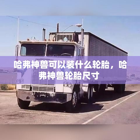 哈弗神獸可以裝什么輪胎，哈弗神獸輪胎尺寸 