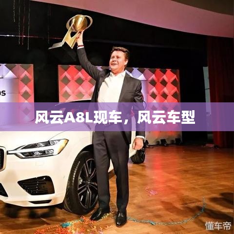 風(fēng)云A8L現(xiàn)車，風(fēng)云車型 
