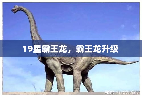 19星霸王龍，霸王龍升級(jí) 
