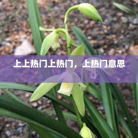 上上熱門上熱門，上熱門意思 