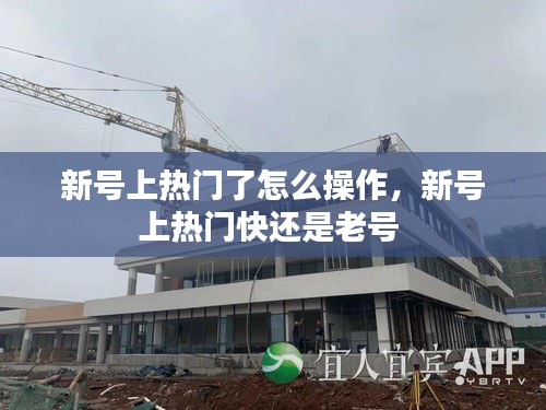新號(hào)上熱門了怎么操作，新號(hào)上熱門快還是老號(hào) 