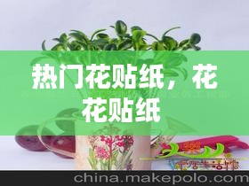 熱門(mén)花貼紙，花花貼紙 