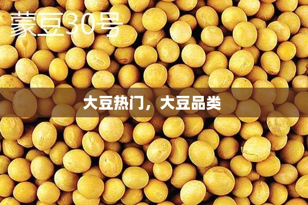 大豆熱門，大豆品類 