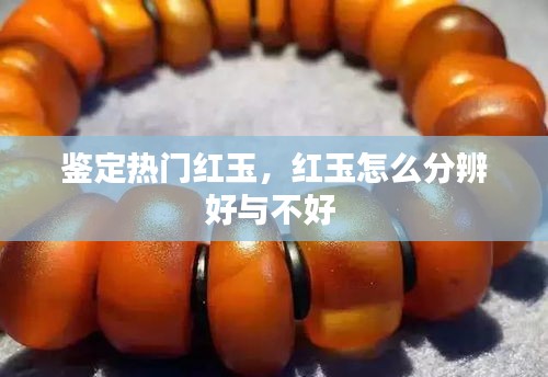 鑒定熱門(mén)紅玉，紅玉怎么分辨好與不好 