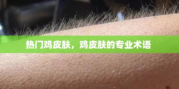 熱門雞皮膚，雞皮膚的專業(yè)術(shù)語 