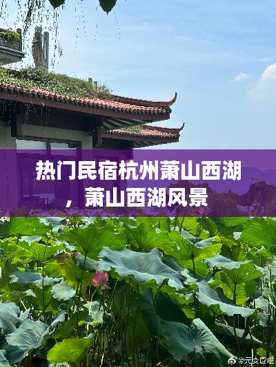 熱門民宿杭州蕭山西湖，蕭山西湖風(fēng)景 