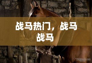 戰(zhàn)馬熱門，戰(zhàn)馬戰(zhàn)馬 