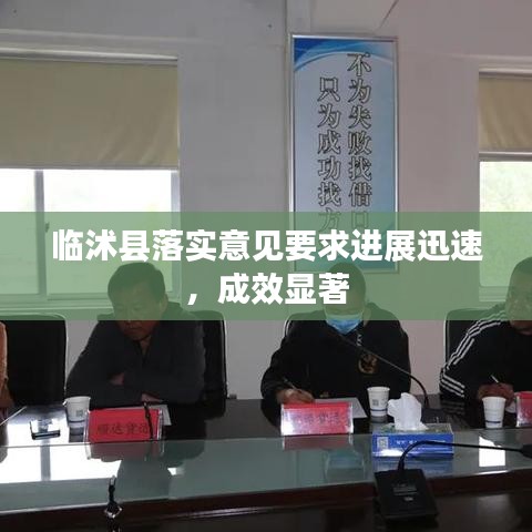 臨沭縣落實意見要求進展迅速，成效顯著