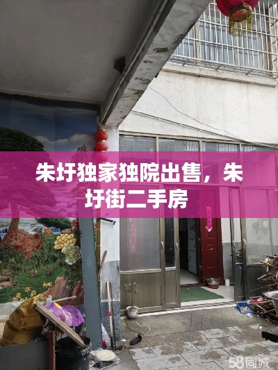 朱圩獨家獨院出售，朱圩街二手房 