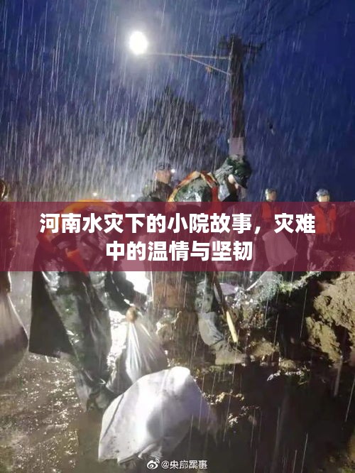 河南水災(zāi)下的小院故事，災(zāi)難中的溫情與堅韌