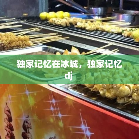 獨家記憶在冰城，獨家記憶dj 