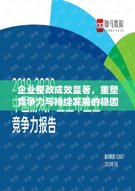 企業(yè)整改成效顯著，重塑競爭力與持續(xù)發(fā)展的穩(wěn)固基石