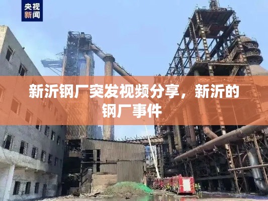 新沂鋼廠突發(fā)視頻分享，新沂的鋼廠事件 