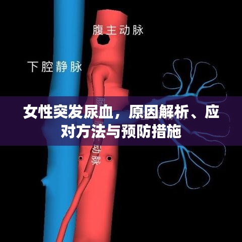 第680頁