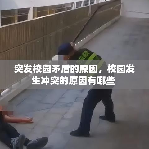 突發(fā)校園矛盾的原因，校園發(fā)生沖突的原因有哪些 