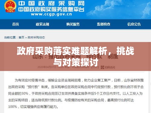 政府采購(gòu)落實(shí)難題解析，挑戰(zhàn)與對(duì)策探討