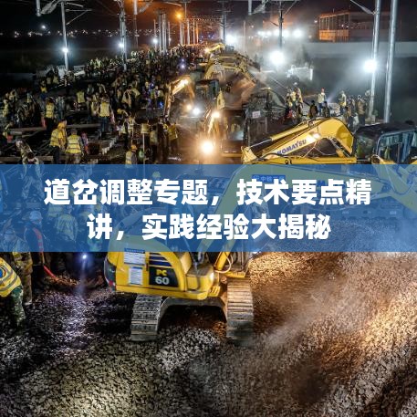道岔調(diào)整專題，技術(shù)要點(diǎn)精講，實(shí)踐經(jīng)驗(yàn)大揭秘