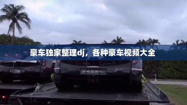 豪車獨(dú)家整理dj，各種豪車視頻大全 