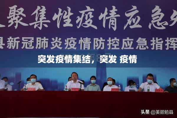 突發(fā)疫情集結，突發(fā) 疫情 