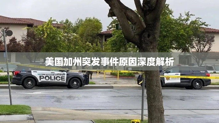 美國加州突發(fā)事件原因深度解析