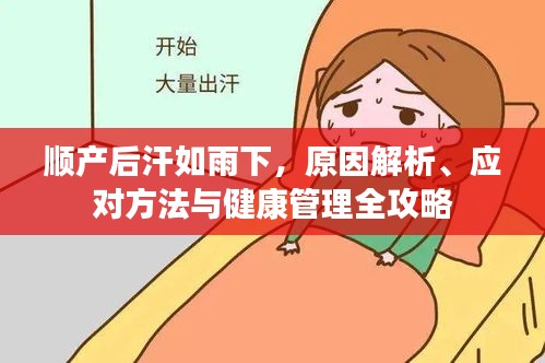 順產后汗如雨下，原因解析、應對方法與健康管理全攻略