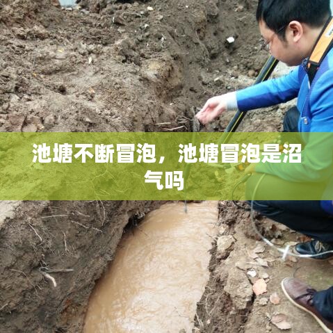 拾金不昧 第2頁