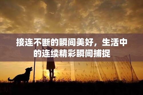 接連不斷的瞬間美好，生活中的連續(xù)精彩瞬間捕捉