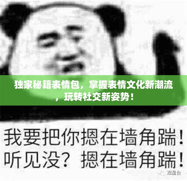 獨(dú)家秘籍表情包，掌握表情文化新潮流，玩轉(zhuǎn)社交新姿勢(shì)！