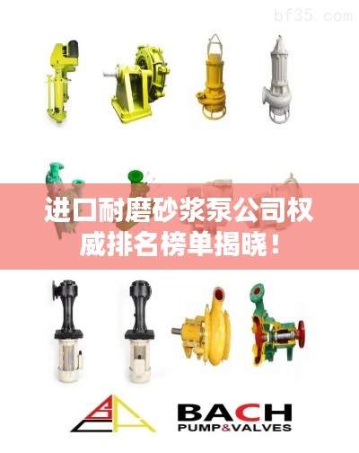進(jìn)口耐磨砂漿泵公司權(quán)威排名榜單揭曉！