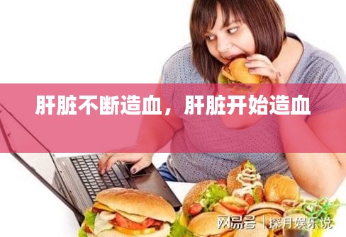 肝臟不斷造血，肝臟開(kāi)始造血 