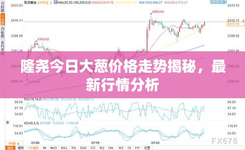 隆堯今日大蔥價(jià)格走勢(shì)揭秘，最新行情分析