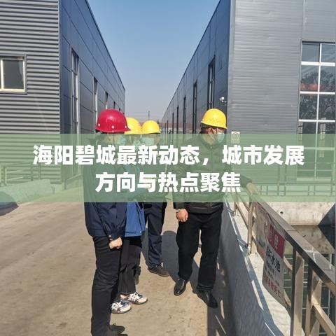 海陽(yáng)碧城最新動(dòng)態(tài)，城市發(fā)展方向與熱點(diǎn)聚焦