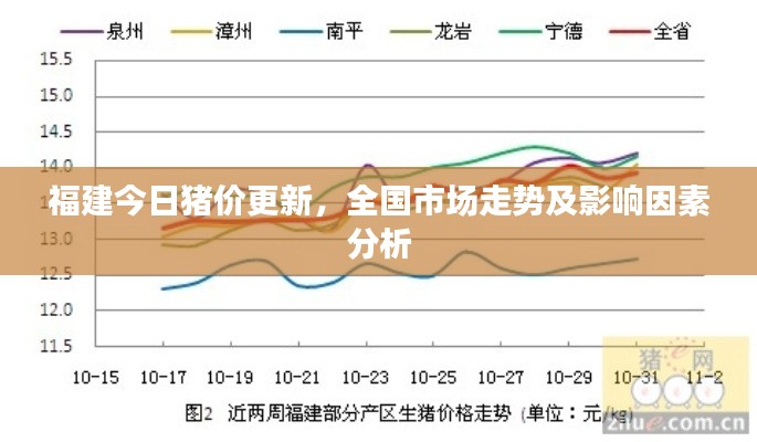 福建今日豬價更新，全國市場走勢及影響因素分析