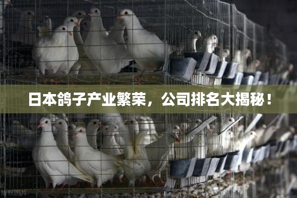 日本鴿子產(chǎn)業(yè)繁榮，公司排名大揭秘！