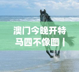 澳門今晚開(kāi)特馬四不像圖｜廣泛的關(guān)注解釋落實(shí)熱議